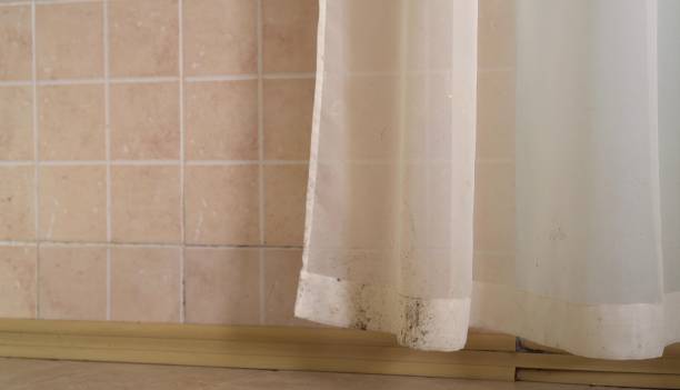 Best Mold Removal for HVAC Installations  in Edgefield, SC