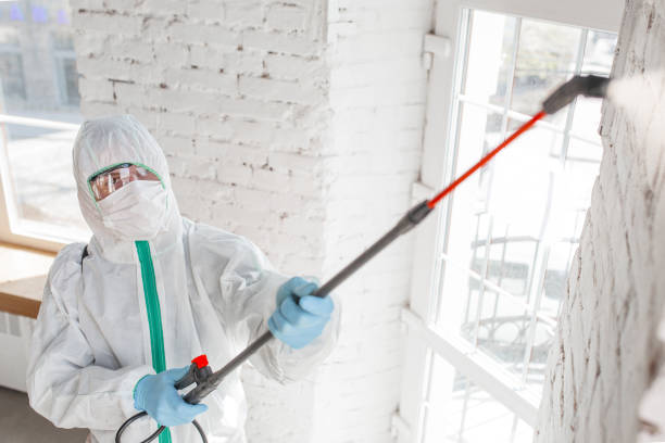 Best Environmental Consulting for Mold Prevention  in Edgefield, SC