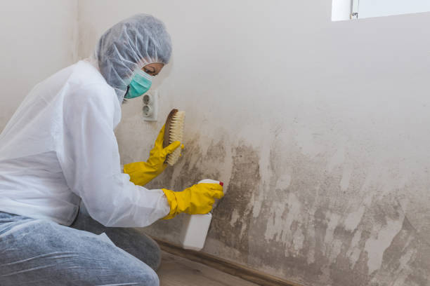 Best Airborne Mold Testing  in Edgefield, SC