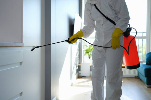 Best Mold Prevention Services  in Edgefield, SC