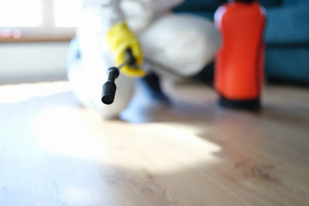 Best Mold Prevention Services  in Edgefield, SC