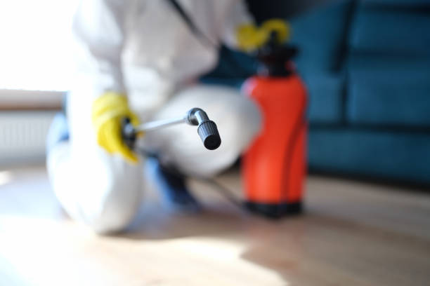 Best Emergency Mold Remediation  in Edgefield, SC