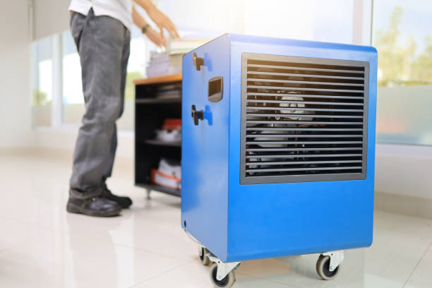 Best Mold-Related Health Consultation  in Edgefield, SC