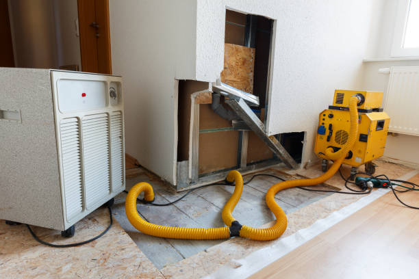 Best Comprehensive Air Testing for Mold Contaminants  in Edgefield, SC