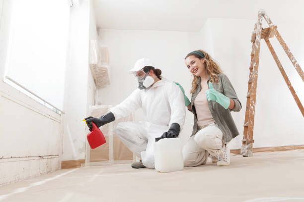 Best Industrial Mold Remediation  in Edgefield, SC