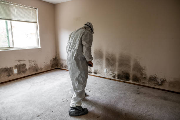 Best Air Quality Testing for Mold Spores  in Edgefield, SC
